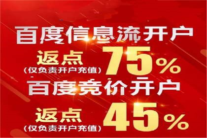 某电商平台的SEM服务托管全流程案例